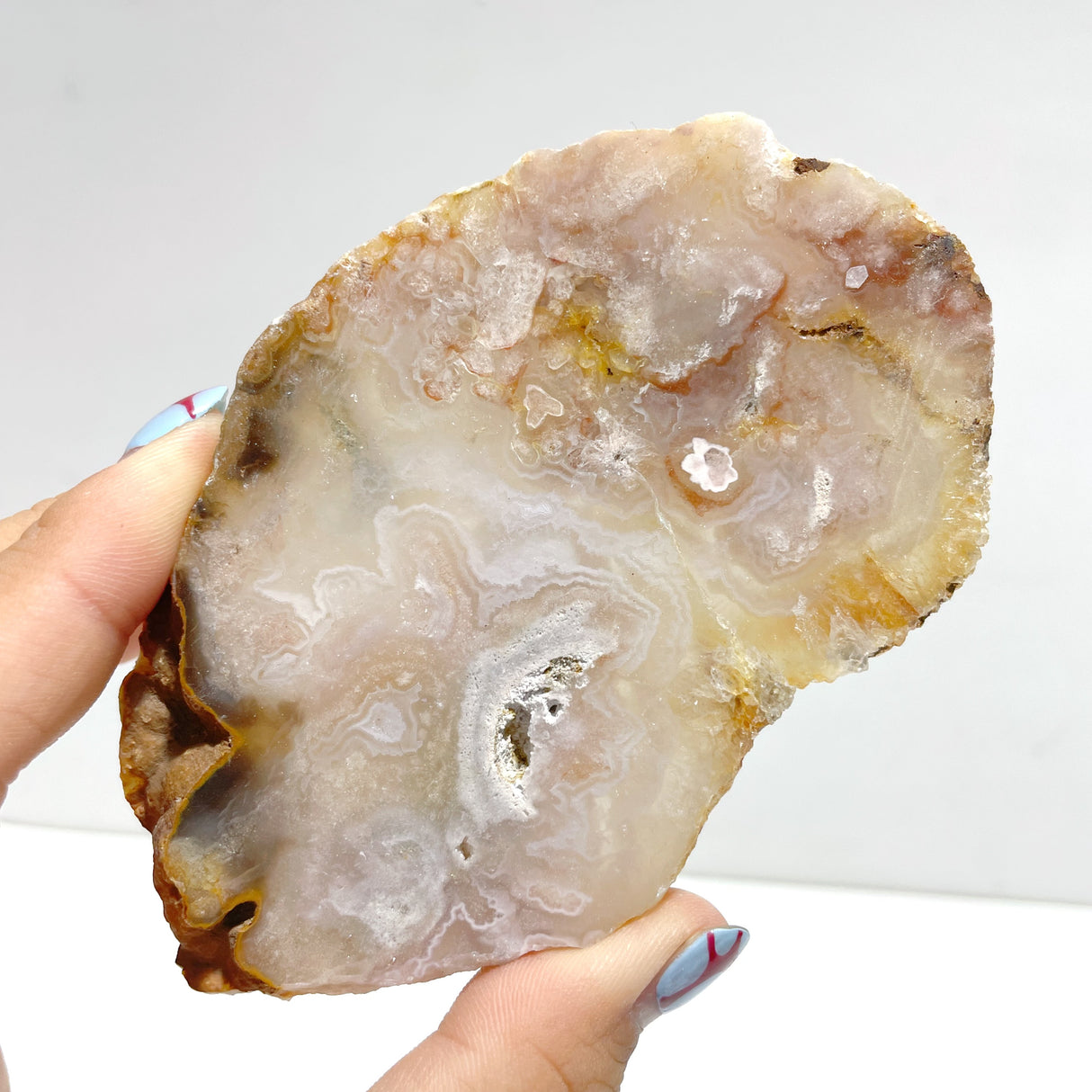 31 Pieces Beautiful Sakura Flower Agate Slab