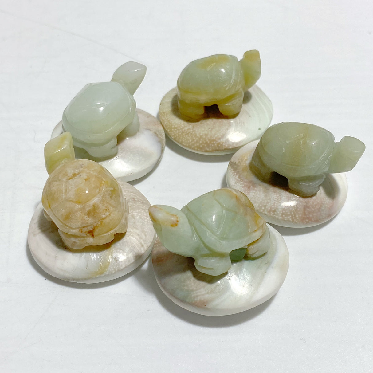 5 Types Mini Turtle On The Shell Fossil Wholesale Moss Agate Tiger Eye