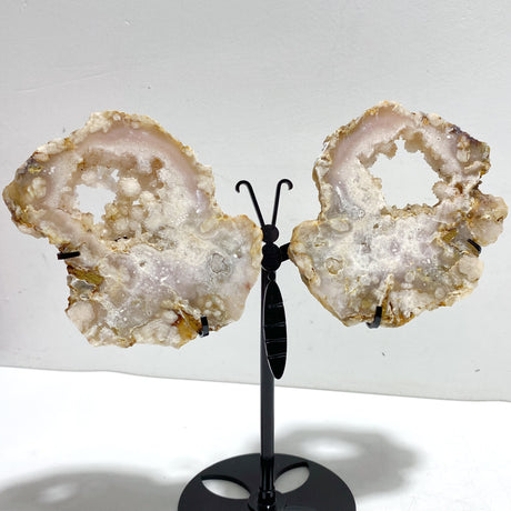 2 Pairs Geode Druzy Sakura Flower Agate Butterfly Wing With Stand