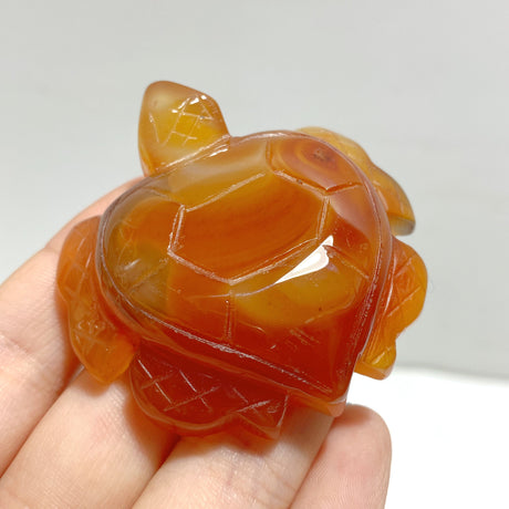 Carnelian Sea Turtle Carving Wholesale