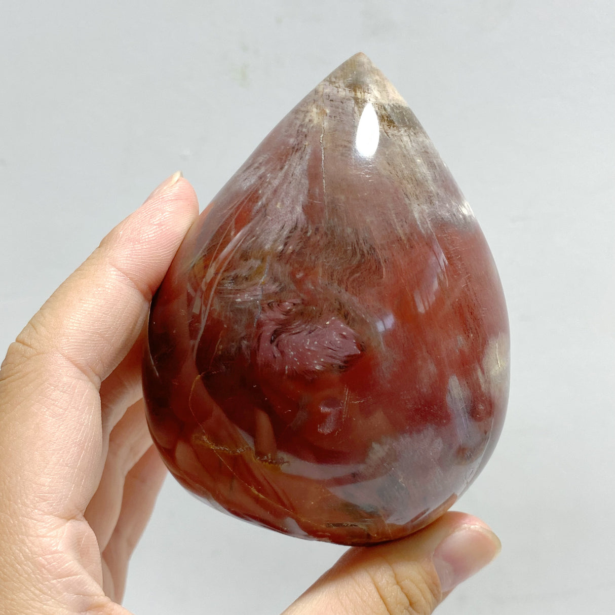 20 Pieces Petrified Wood Stone Arrow Head Shape
