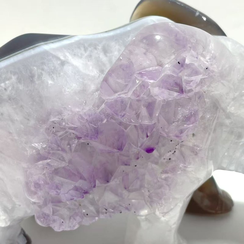 Beautiful Amethyst Mixed Geode Agate Druzy Elephant Animal Carving A04 - Wholesale Crystals