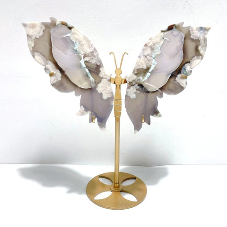 Black Sakura Flower Agate Butterfly Wing Carving With Stand - Wholesale Crystals