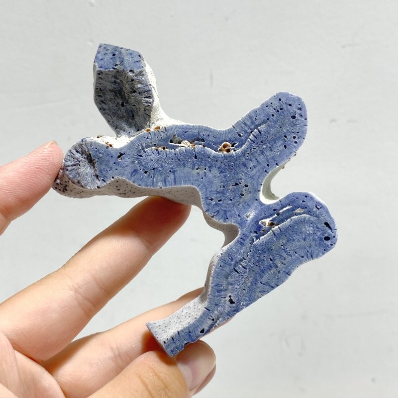 Blue Ridge Coral Heliopora Coerule Tower Point Wholesale -Wholesale Crystals