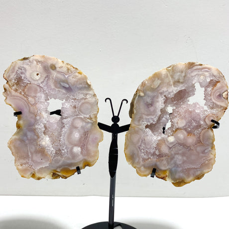 2 Pairs Geode Druzy Sakura Flower Agate Butterfly Wing With Stand