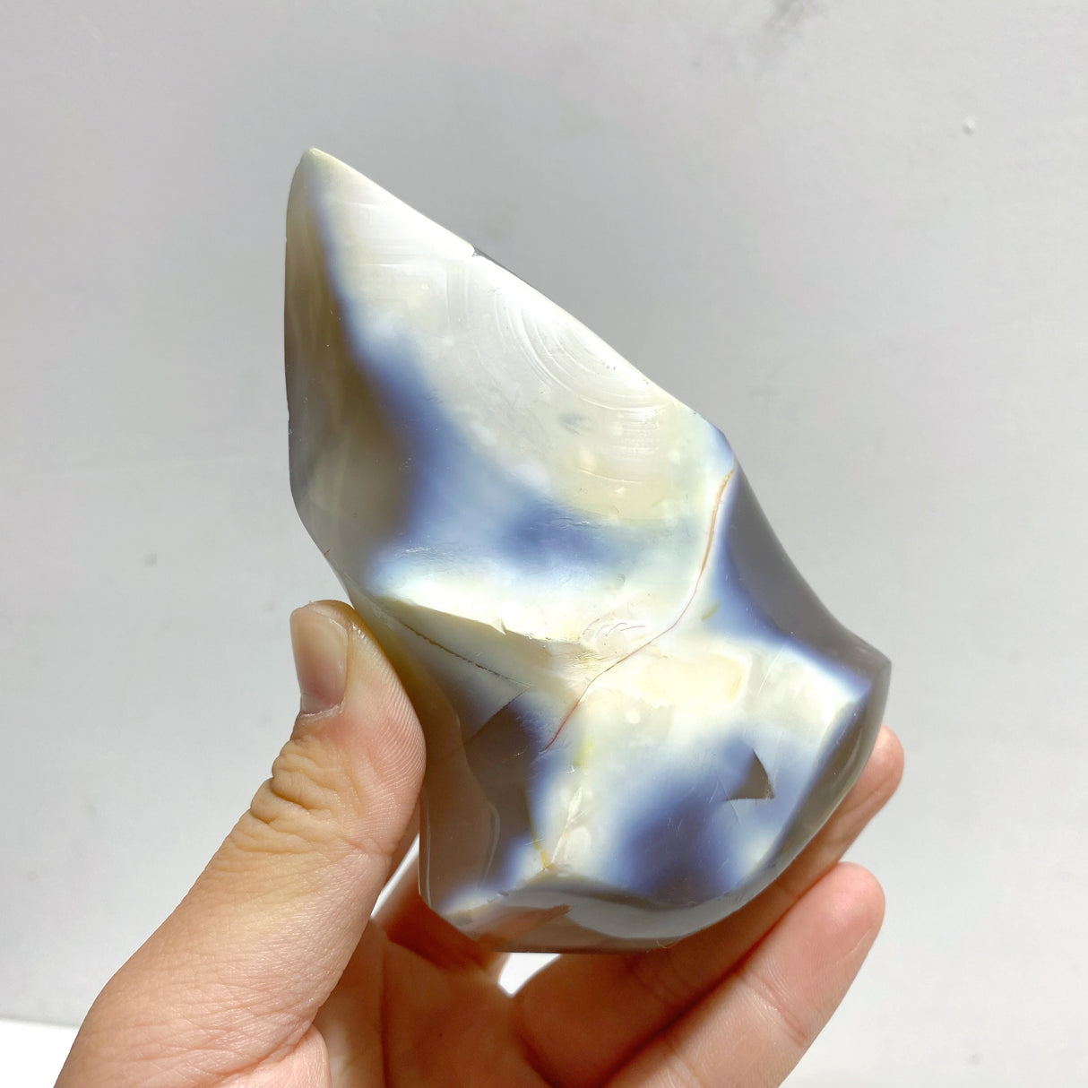 12 Pieces Black Orca Agate Flame Carving #1