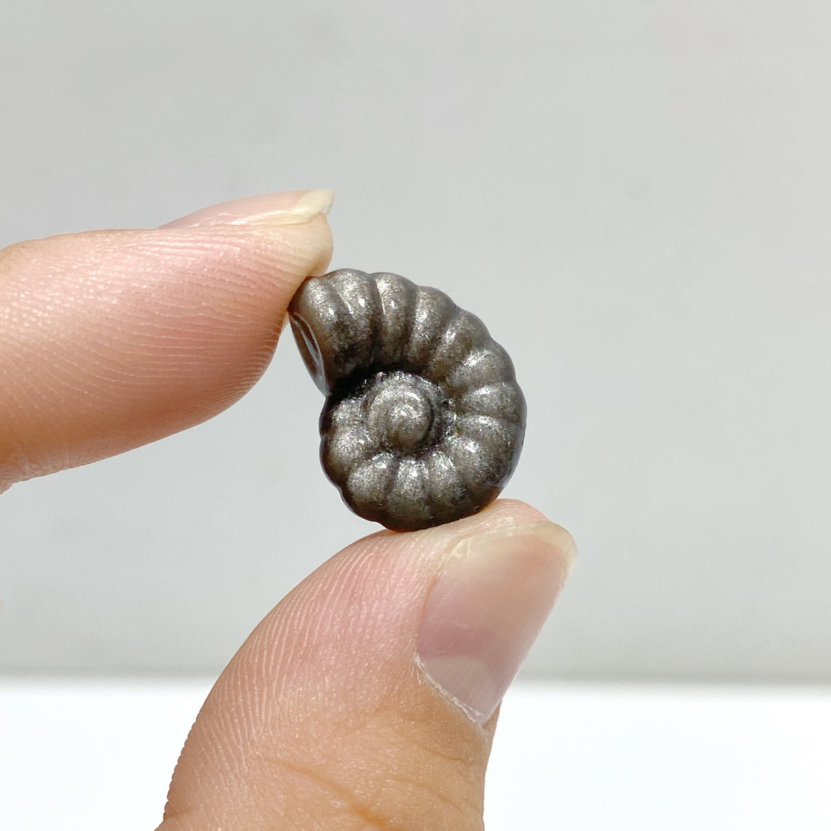 Mini Silver Sheen Obsidian Conch Carving Wholesale