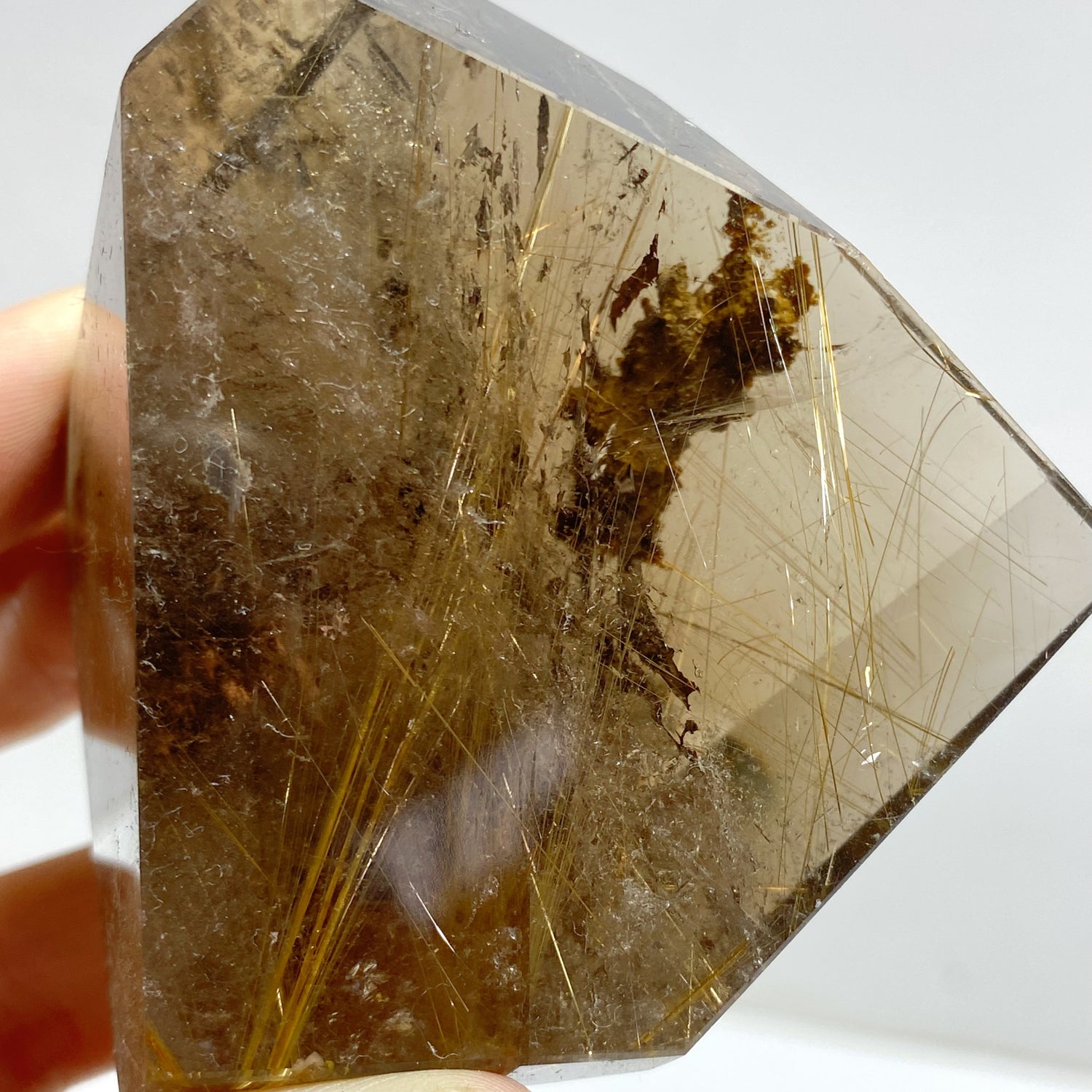 7 Pieces High Quality Golden Rutile Quartz Free Form Home Decor
