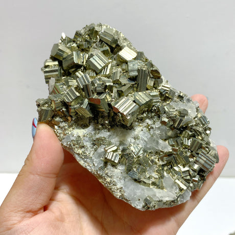 8 Pieces Pyrite Mixed Clear Quartz Cluster Specimen For Collection