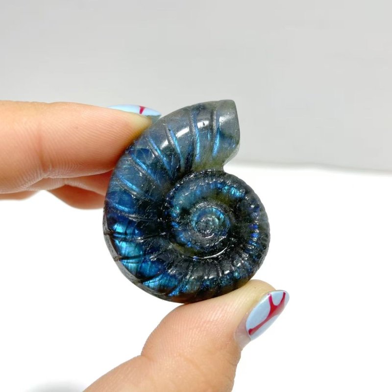 Labradorite Conch Carving Wholesale - Wholesale Crystals