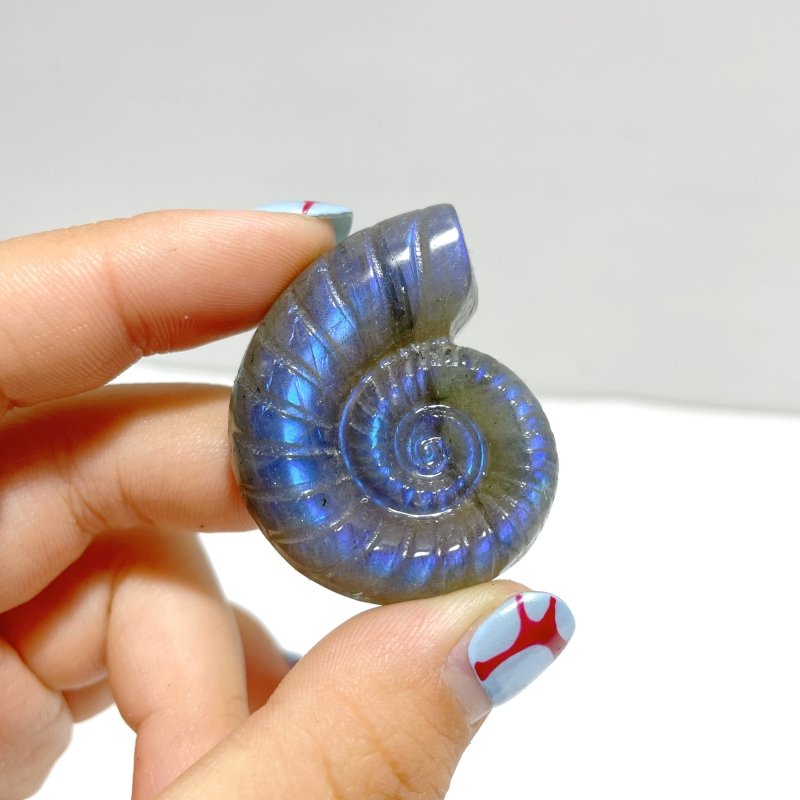 Labradorite Conch Carving Wholesale - Wholesale Crystals