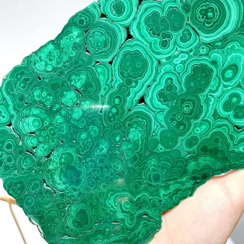 Large Polished Malachite Raw Slab Butterfly Wing With Stand (#2) - Wholesale Crystals