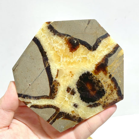 Septarian Slab Wholesale - Wholesale Crystals