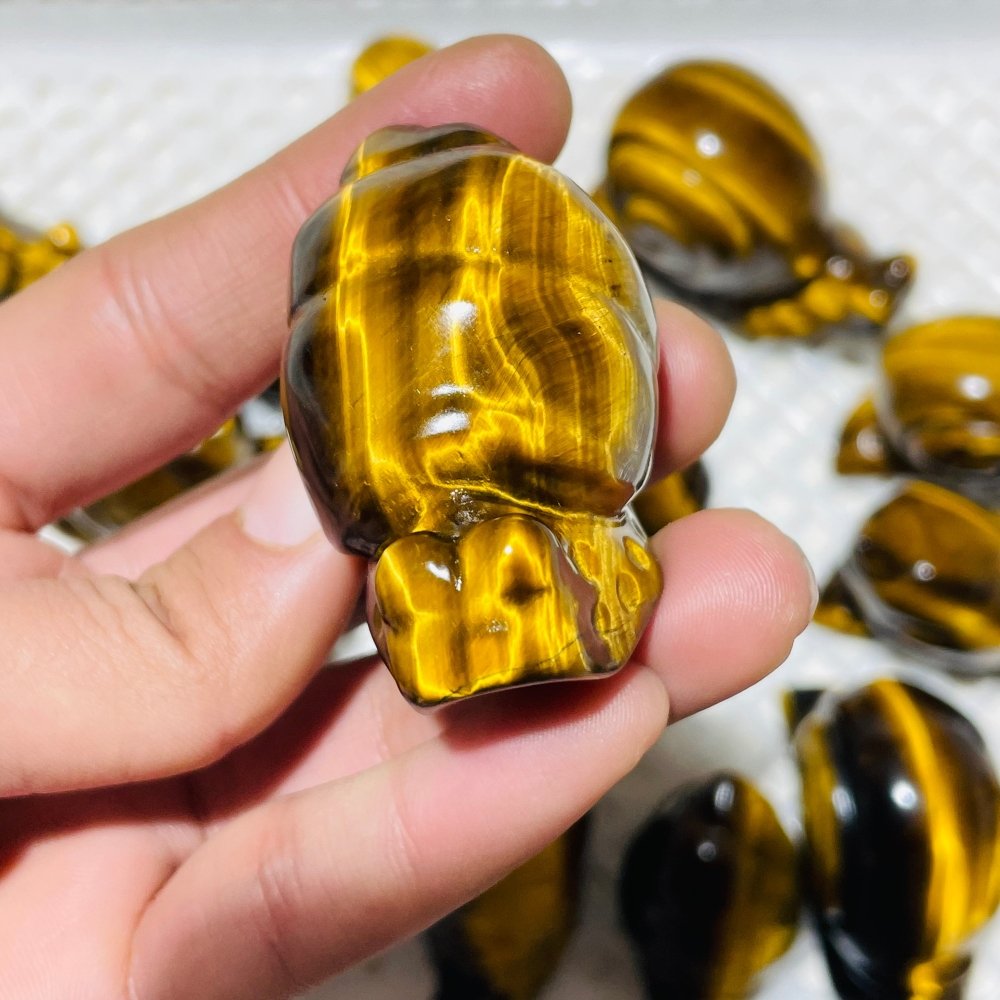 16 Pieces High Quality Tiger Eye Snails Carving -Wholesale Crystals