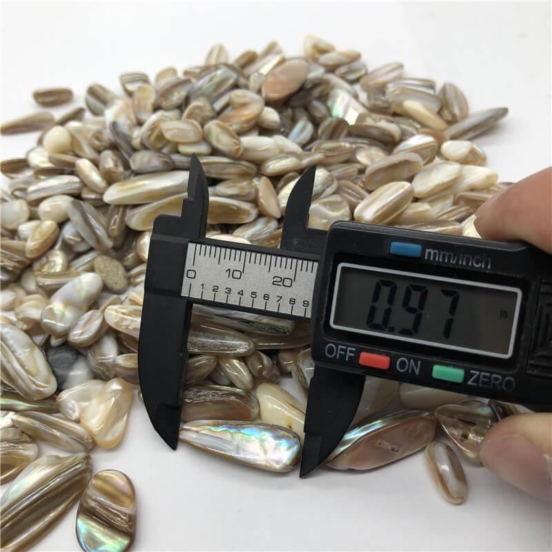 Rainbow shell conch fossil gravel stone -Wholesale Crystals