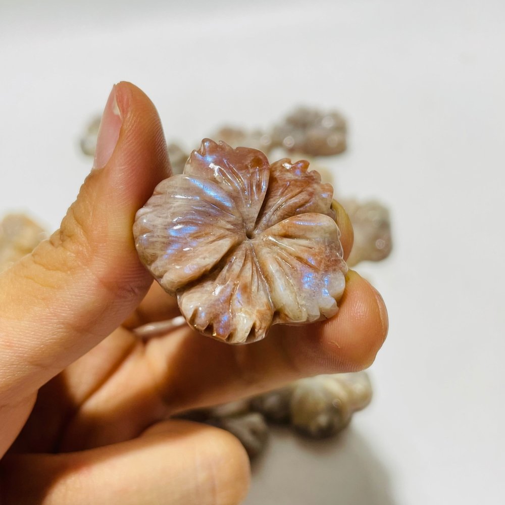21 Pieces Beautiful Moonstone Mixed Sunstone Flower Carving -Wholesale Crystals