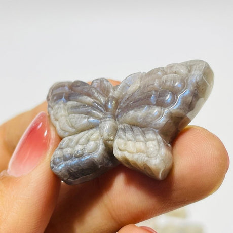 21 Pieces Sunstone Mixed Moonstone Butterfly Carving -Wholesale Crystals