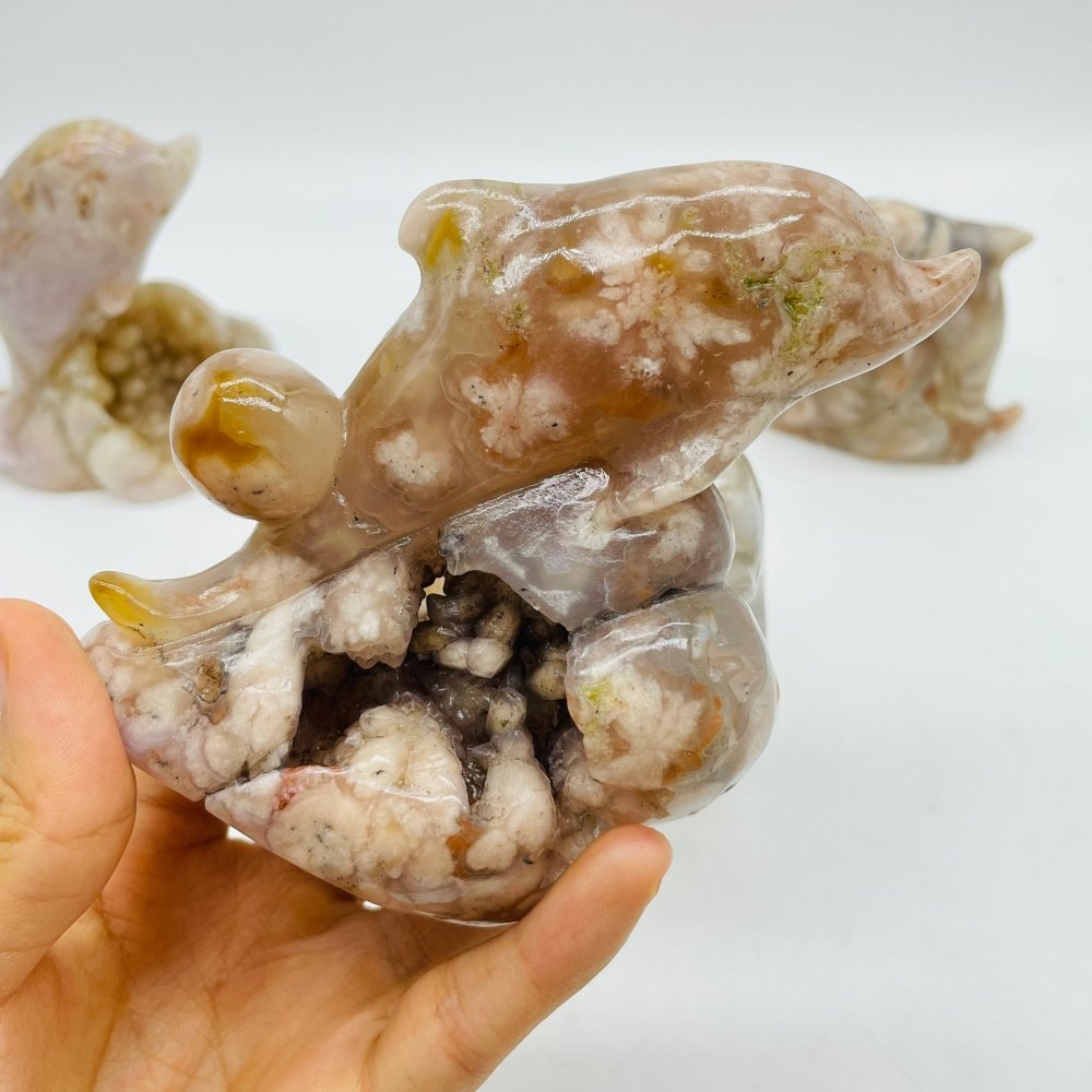5 Pieces Sakura Flower Agate Geode Dolphin Carving -Wholesale Crystals