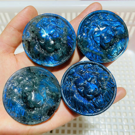 4Pieces High Quality Labradorite Lion Head Carving -Wholesale Crystals