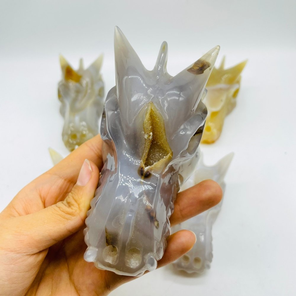 5 Pieces Beautiful Geode Agate Dragon Head Carving -Wholesale Crystals