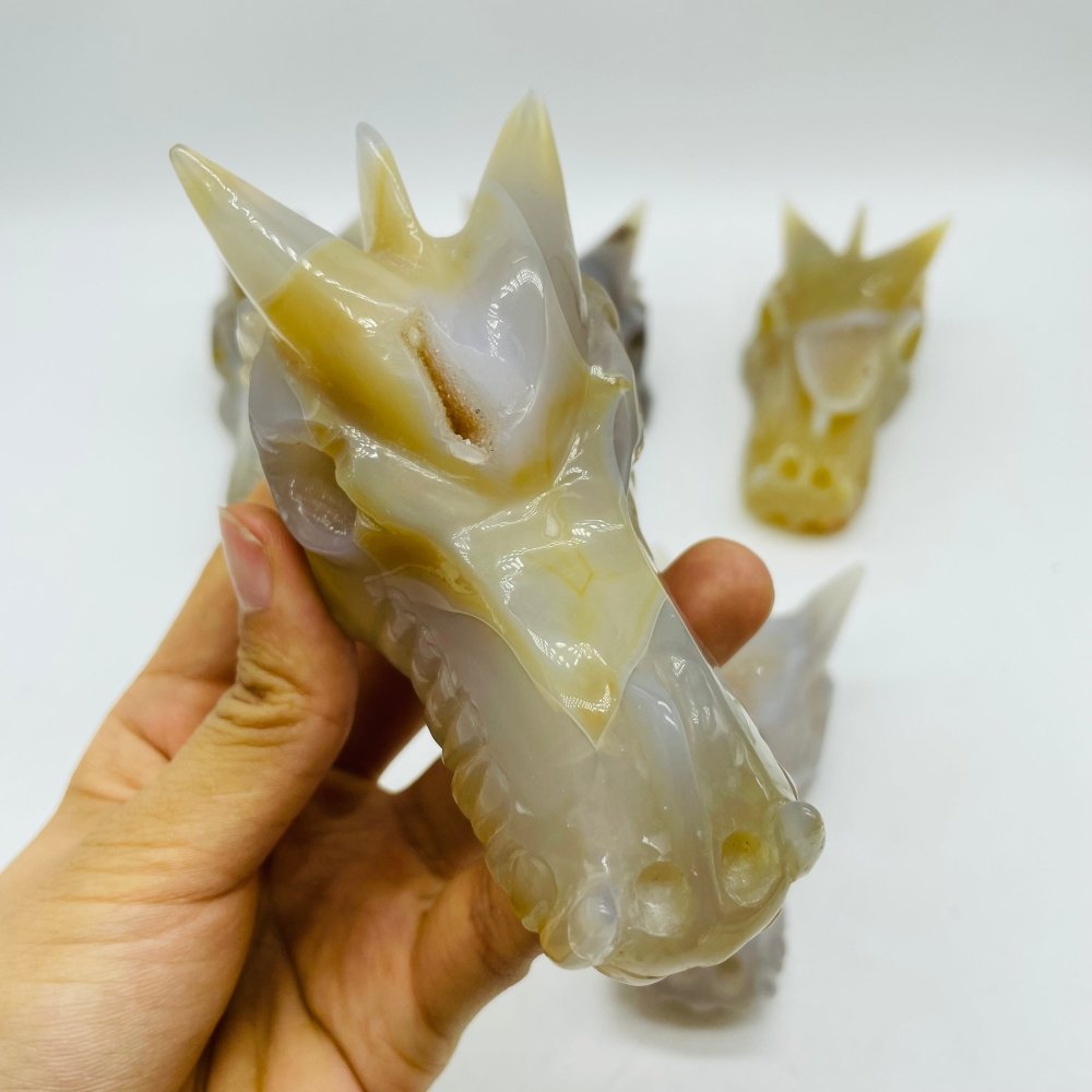 5 Pieces Beautiful Geode Agate Dragon Head Carving -Wholesale Crystals