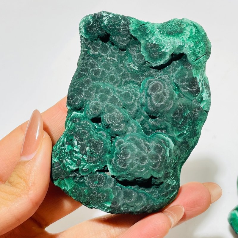 5 Pieces Beautiful High Quality Raw Malachite Specimen -Wholesale Crystals