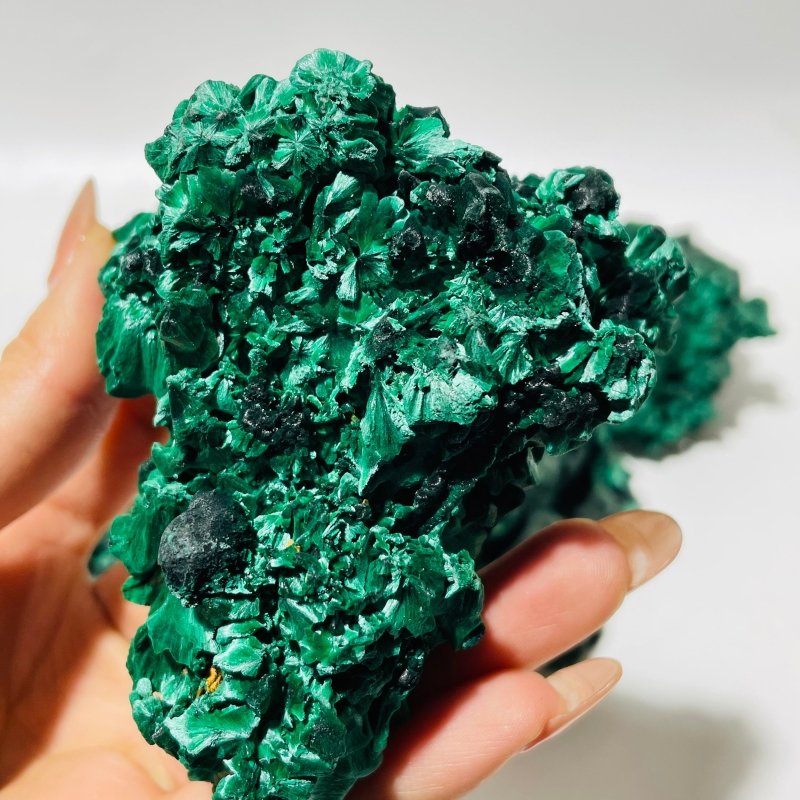 5 Pieces High Quality Raw Malachite Specimen -Wholesale Crystals