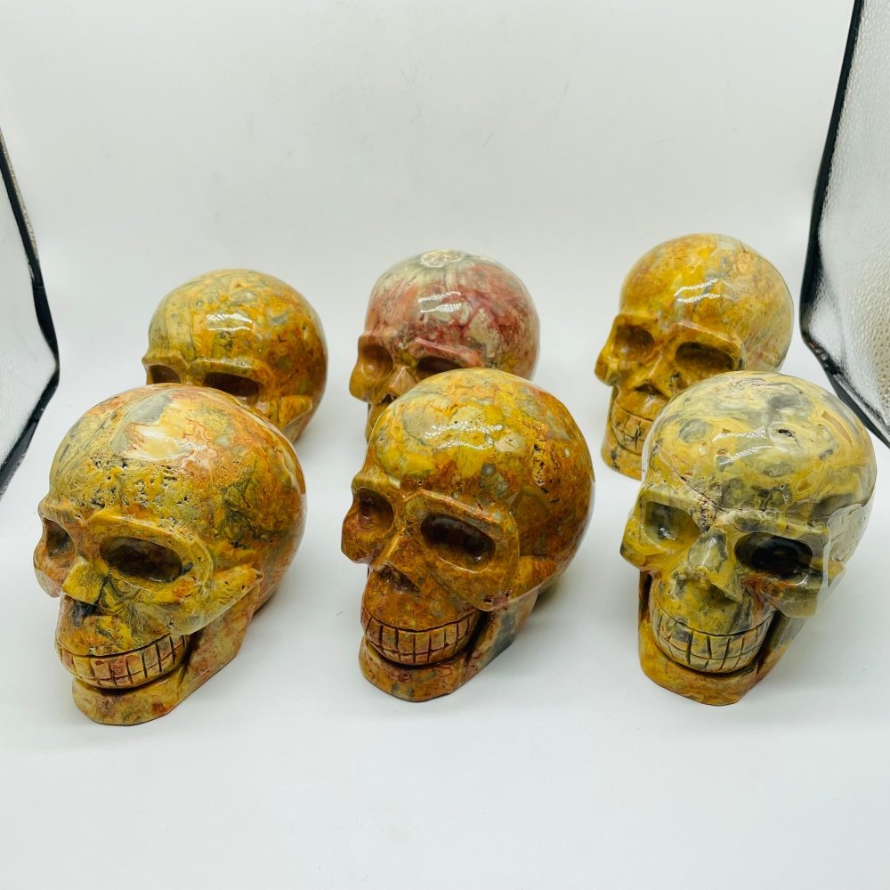 6 Pieces Crazy Agate Large Skull Carving -Wholesale Crystals