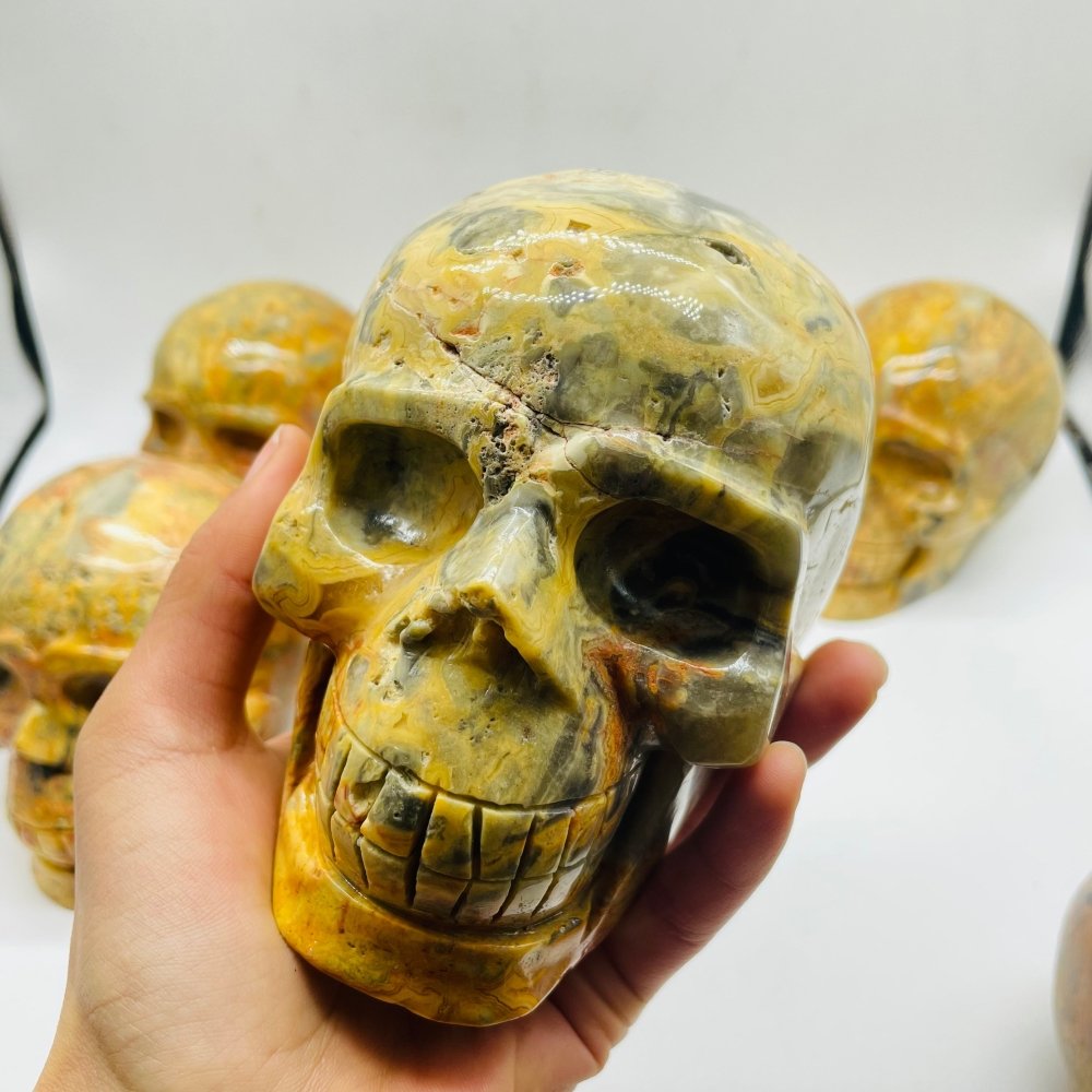 6 Pieces Crazy Agate Large Skull Carving -Wholesale Crystals