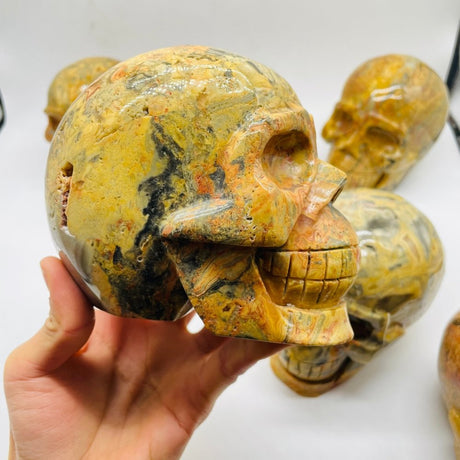 6 Pieces Crazy Agate Large Skull Carving -Wholesale Crystals
