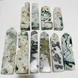 10 Pieces Large Moss Agate Druzy Four-Sided Points -Wholesale Crystals