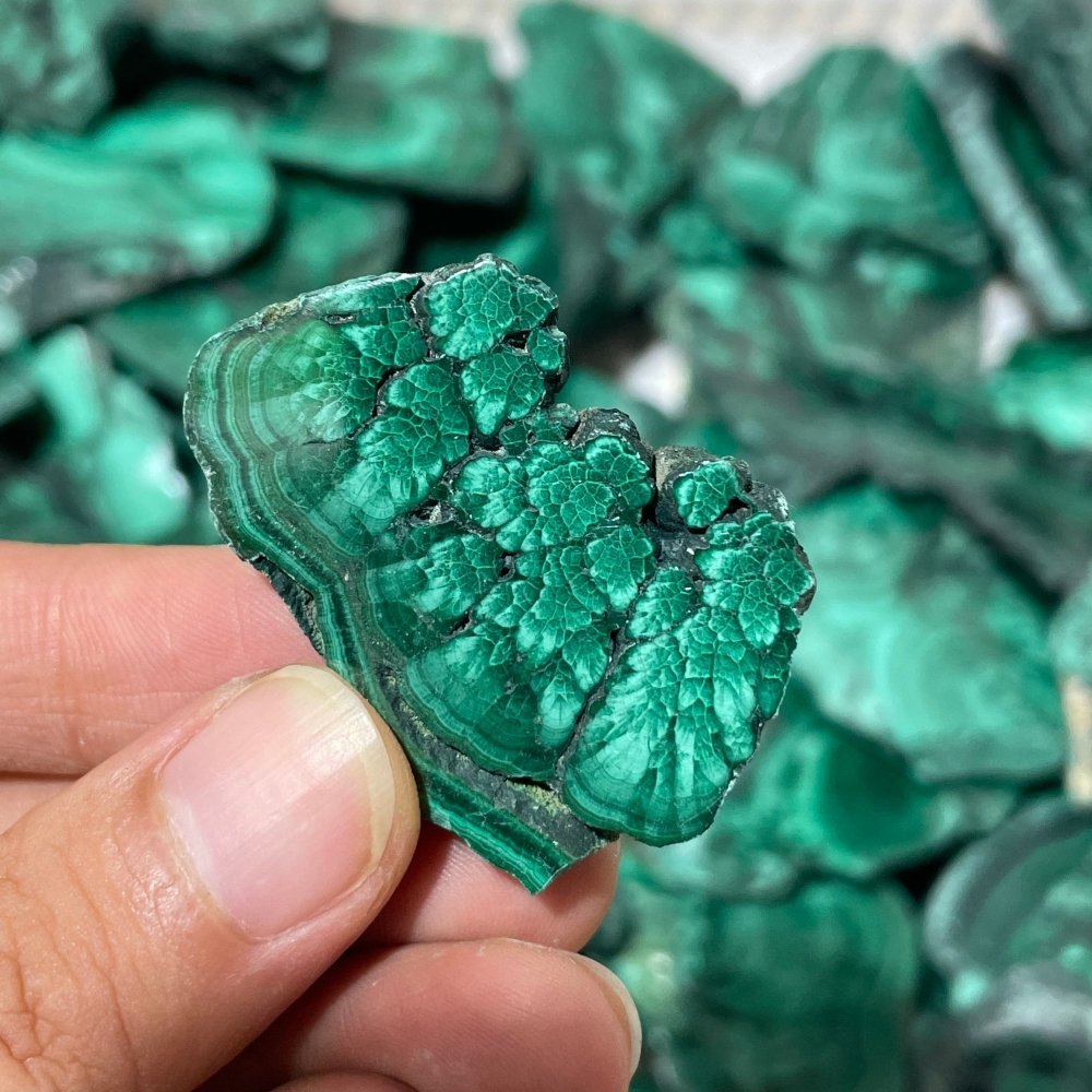 85 Pieces Small Polished Malachite Slab -Wholesale Crystals