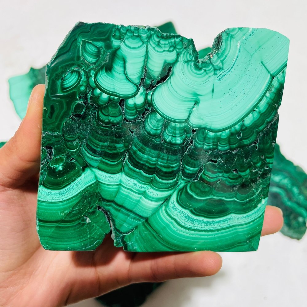 9 Pieces Large Polished Malachite Slab -Wholesale Crystals