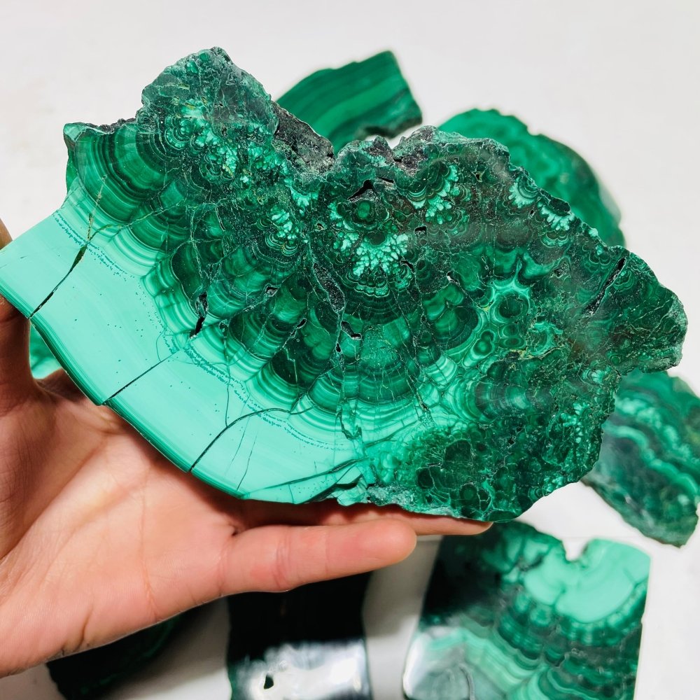 9 Pieces Large Polished Malachite Slab -Wholesale Crystals
