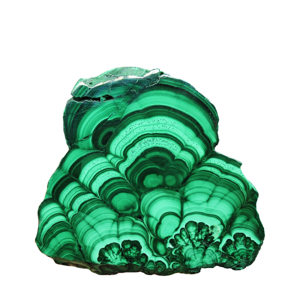 Polished malachite slab -Wholesale Crystals