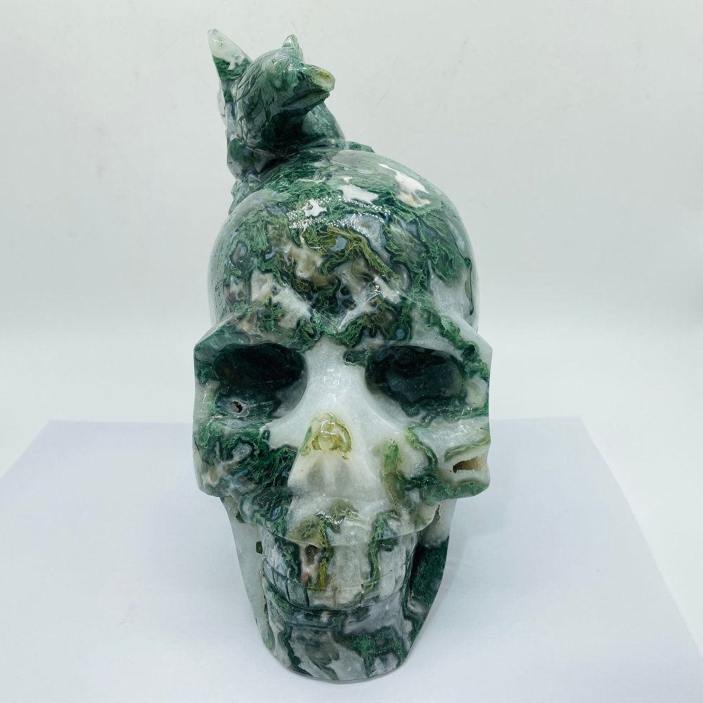 Beautiful Large Moss Agate Bird Skull Carving -Wholesale Crystals