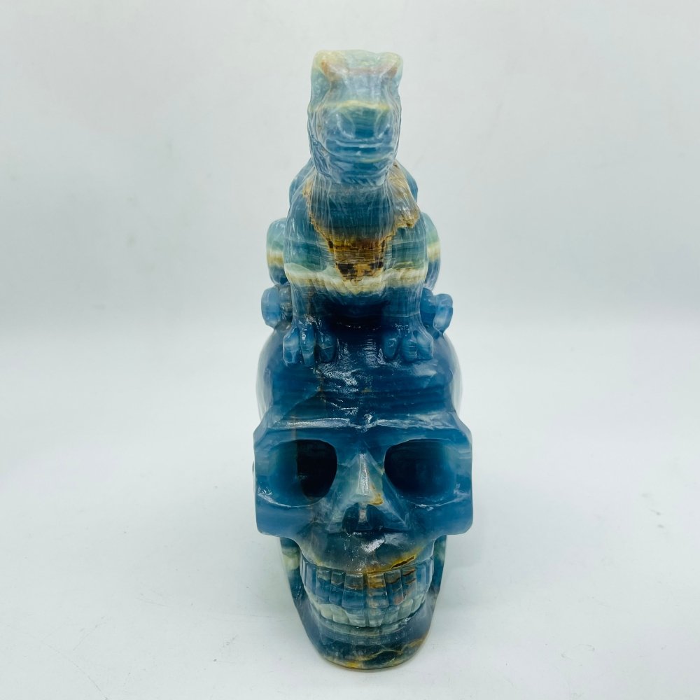 High Quality Blue Onyx Dinosaur Skull Carving -Wholesale Crystals