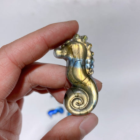 High Quality Labradorite Seahorse Carving Wholesale -Wholesale Crystals