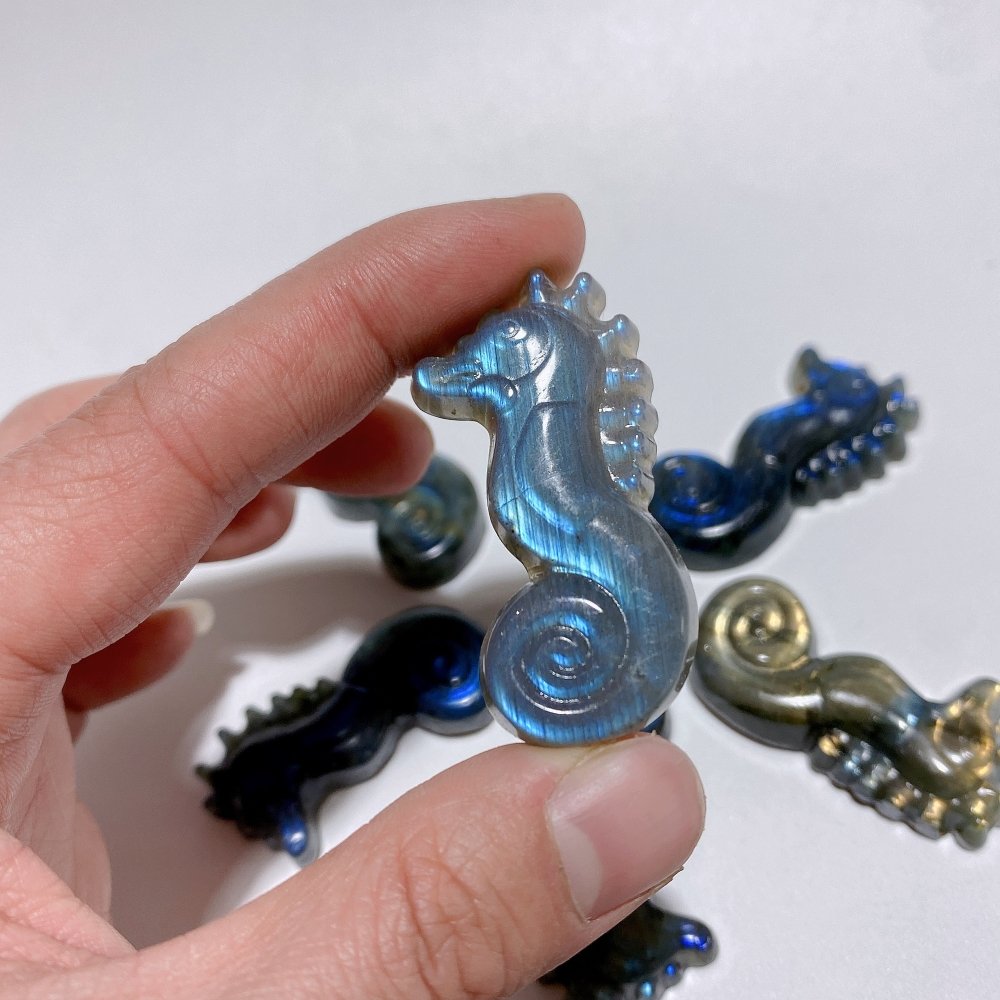 High Quality Labradorite Seahorse Carving Wholesale -Wholesale Crystals