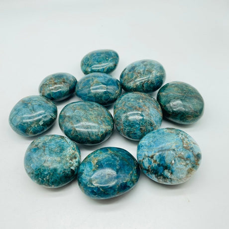 Large Apatite Palm Wholesale -Wholesale Crystals
