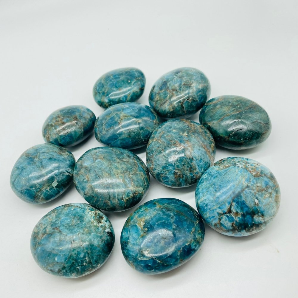 Large Apatite Palm Wholesale -Wholesale Crystals