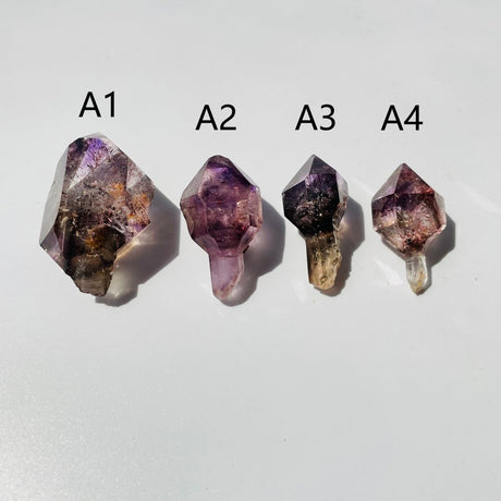 Rare Collection Super7 Amethyst Crystal Scepter Specimen -Wholesale Crystals