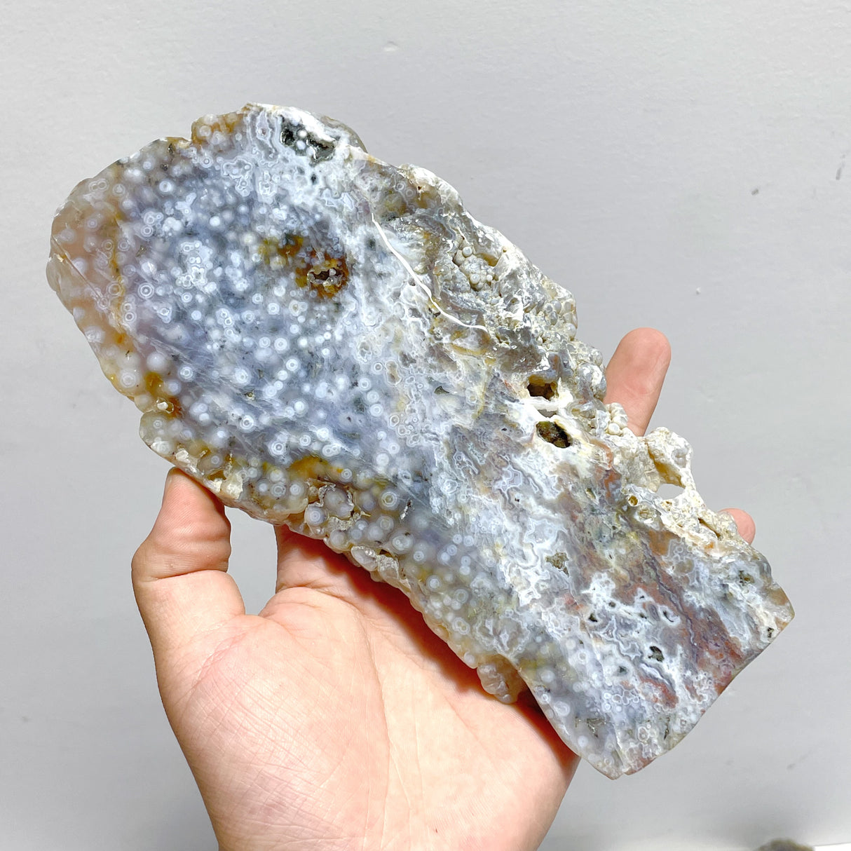11 Pieces 6th Vein Ocean Jasper Slab