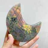 16 Pieces Beautiful Large Labradorite Moon Carving