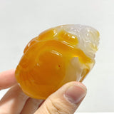 10 Pieces Beautiful Agate Tiger Carving - Wholesale Crystals