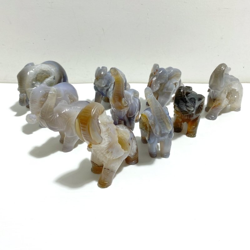 10 pieces Geode Agate Druzy Elephant Carving - Wholesale Crystals