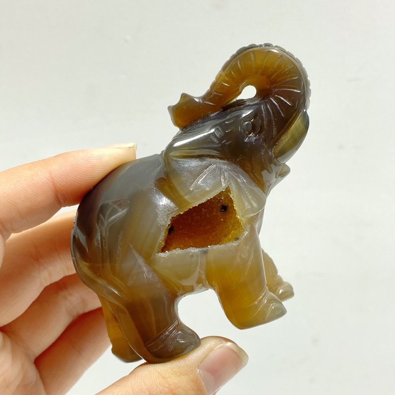 10 pieces Geode Agate Druzy Elephant Carving - Wholesale Crystals