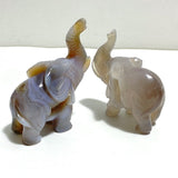 10 pieces Geode Agate Druzy Elephant Carving - Wholesale Crystals