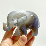 10 pieces Geode Agate Druzy Elephant Carving - Wholesale Crystals