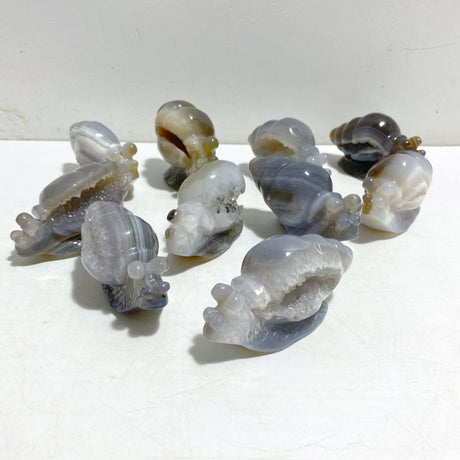 10 Pieces Geode Druzy Agate Snail Carving -Wholesale Crystals